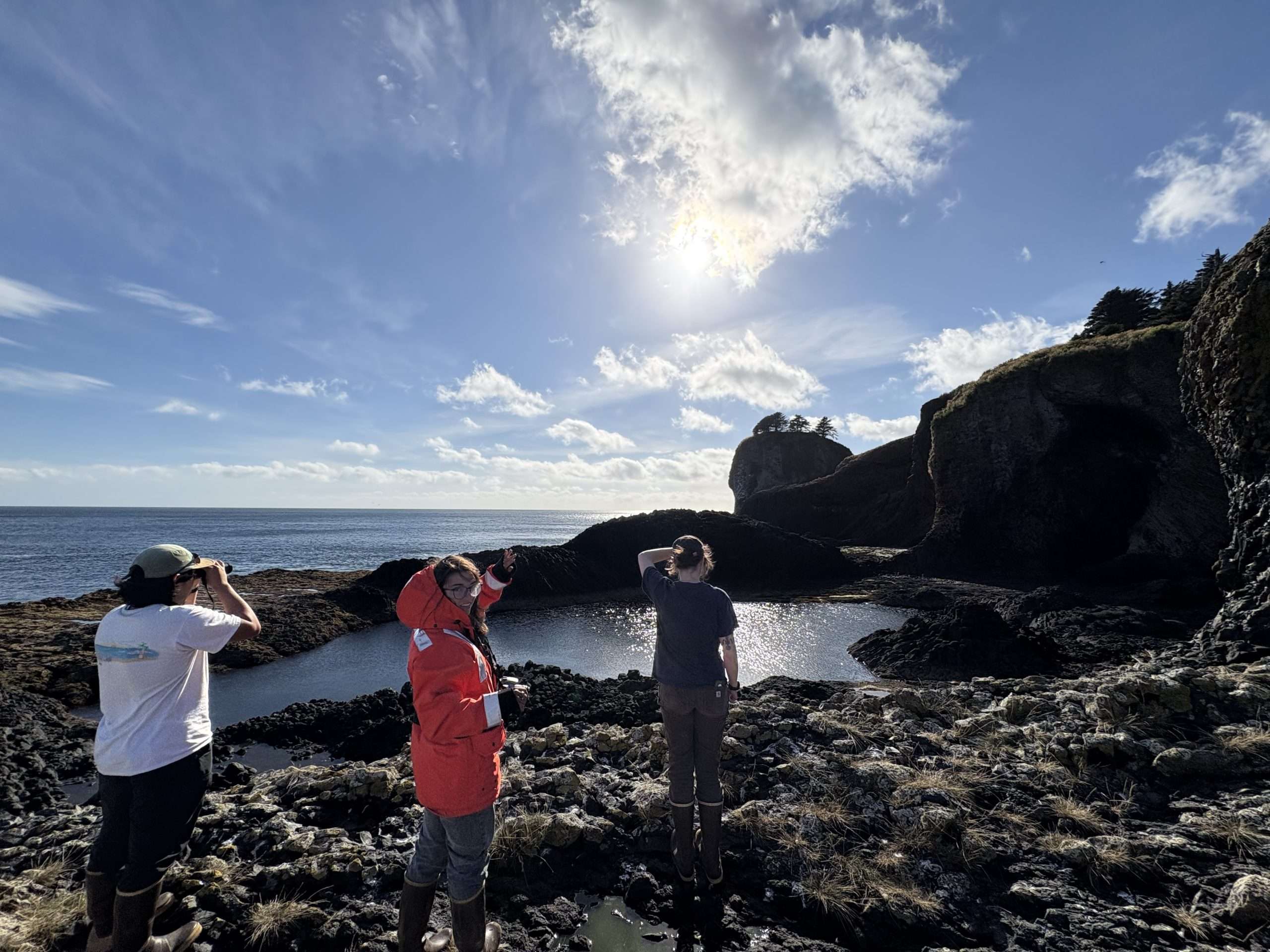 international fellow beach